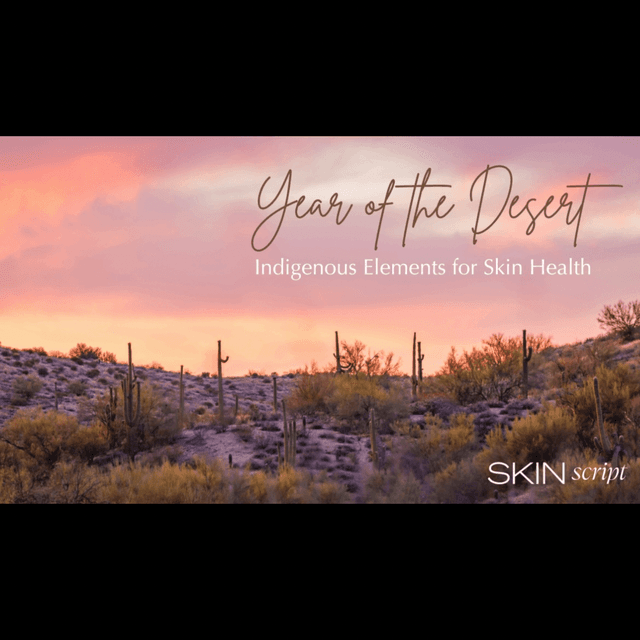 The Desert Collection🌵 